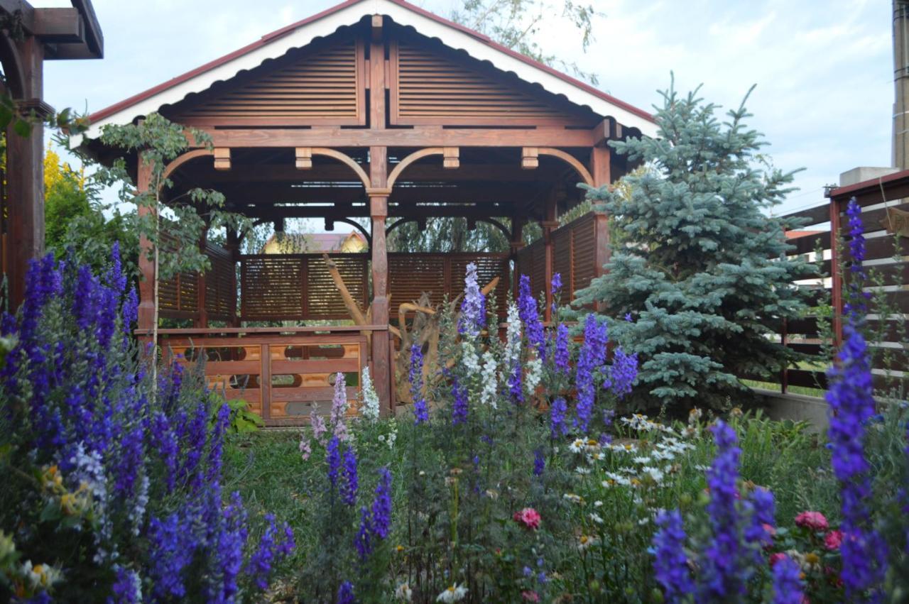Cabane De Lemn Costinești Dış mekan fotoğraf